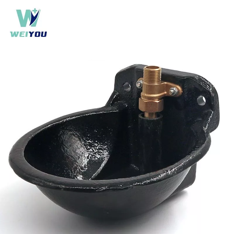 Cast iron drinking bowl