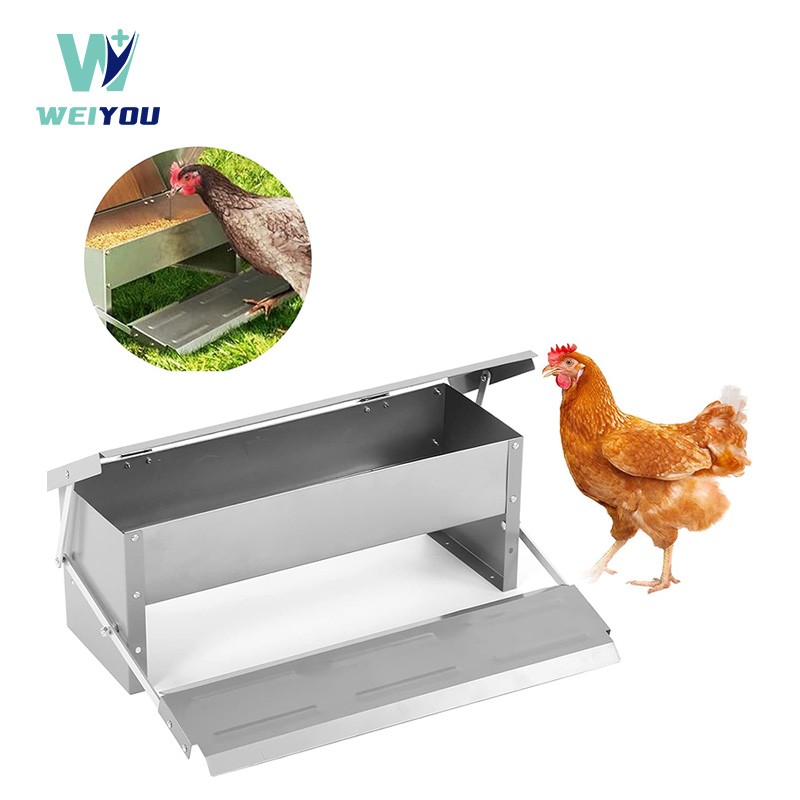 Chicken Automatic Food Feeder Trough