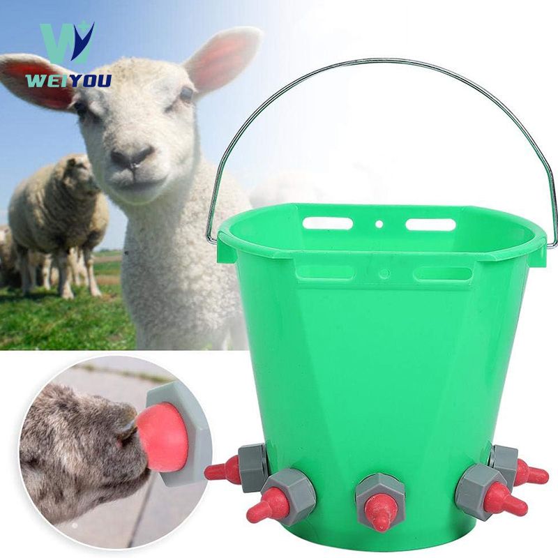 Milk Feeding Bucket